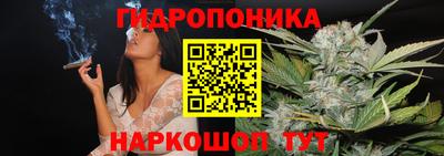 СК Волжск