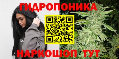 мдпв Волгодонск