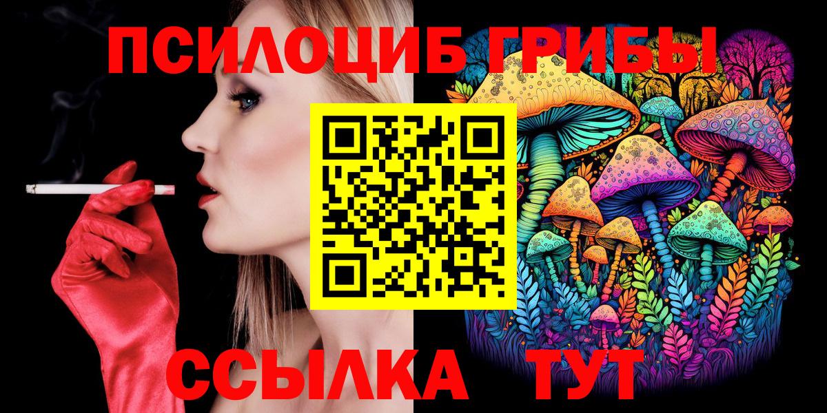 Галлюциногенные грибы Psilocybine cubensis Канск