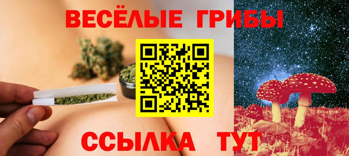 Псилоцибиновые грибы Cubensis  Галлюциногенные грибы Psilocybine cubensis  Канск  Вход с VPN 